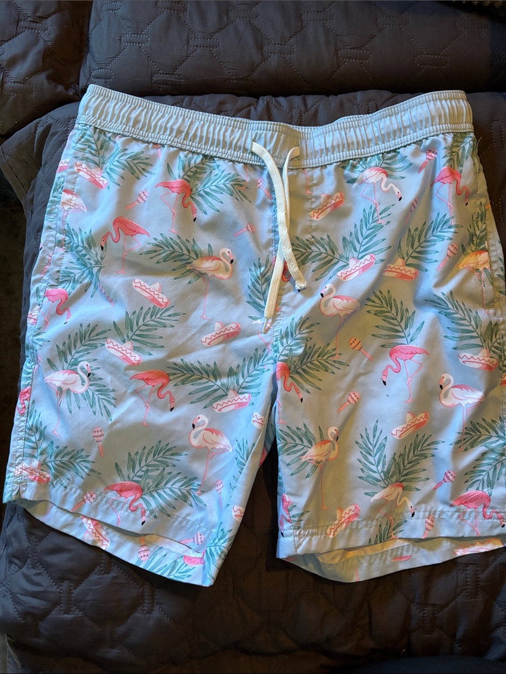Carbon Men's Light Blue Flamingo Print Swim Trunks Size M No Liner